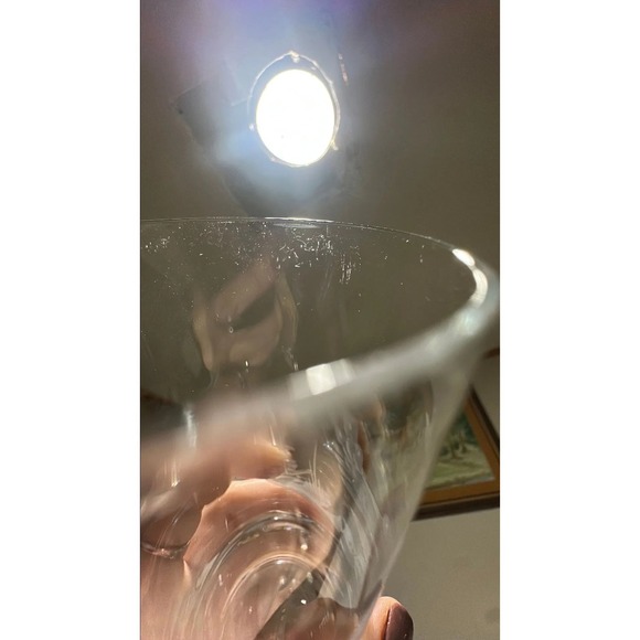 Set of 4 Salzburger Austrian Crystal Vintage Wildlife Etched Highball Glasses - Picture 6 of 7